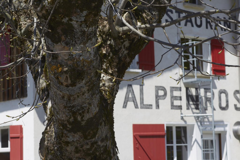 Alpenrose Gadmen - Gasthaus エクステリア 写真